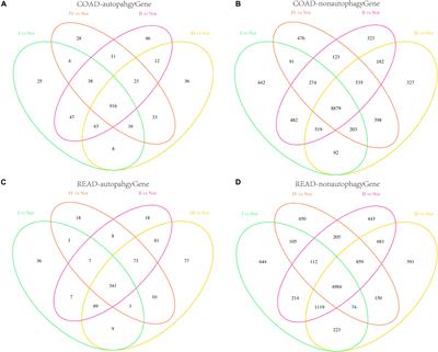 Identification of Autophagy-Associated Biomarkers and Corresponding Regulatory Factors in the Progression of Colorectal Cancer